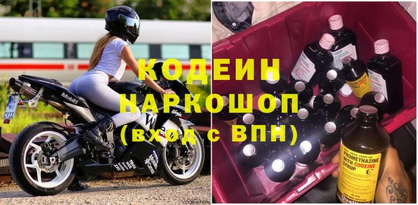 ПСИЛОЦИБИНОВЫЕ ГРИБЫ Арсеньев