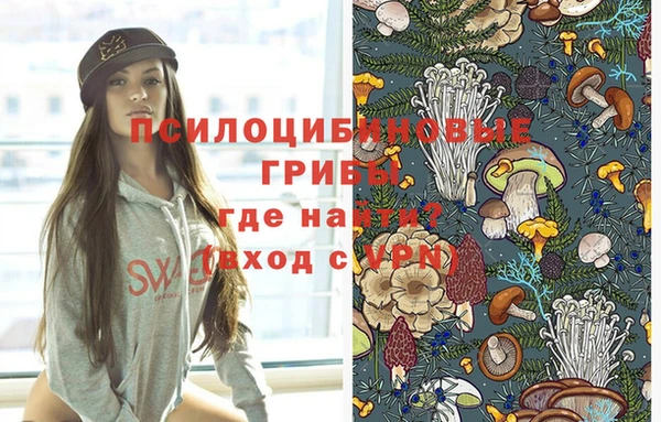 ПСИЛОЦИБИНОВЫЕ ГРИБЫ Арсеньев
