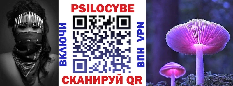 МЕГА вход  наркотики  Миасс  Псилоцибиновые грибы Cubensis 