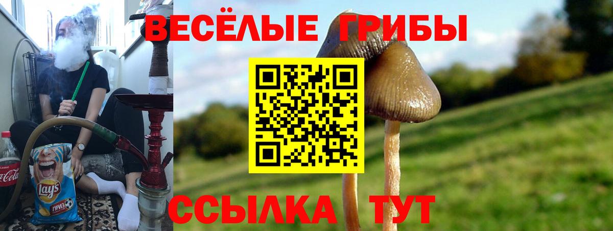Галлюциногенные грибы MAGIC MUSHROOMS  Вход с VPN  Миасс 